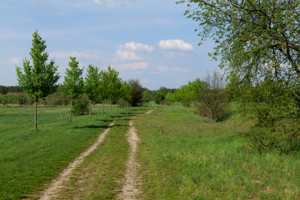 Track in Ragow 2021-05-11 08
