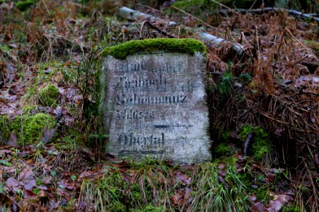 Track in the Black Forest at north of Obertal Baiersbronn 2020-03-11 09
