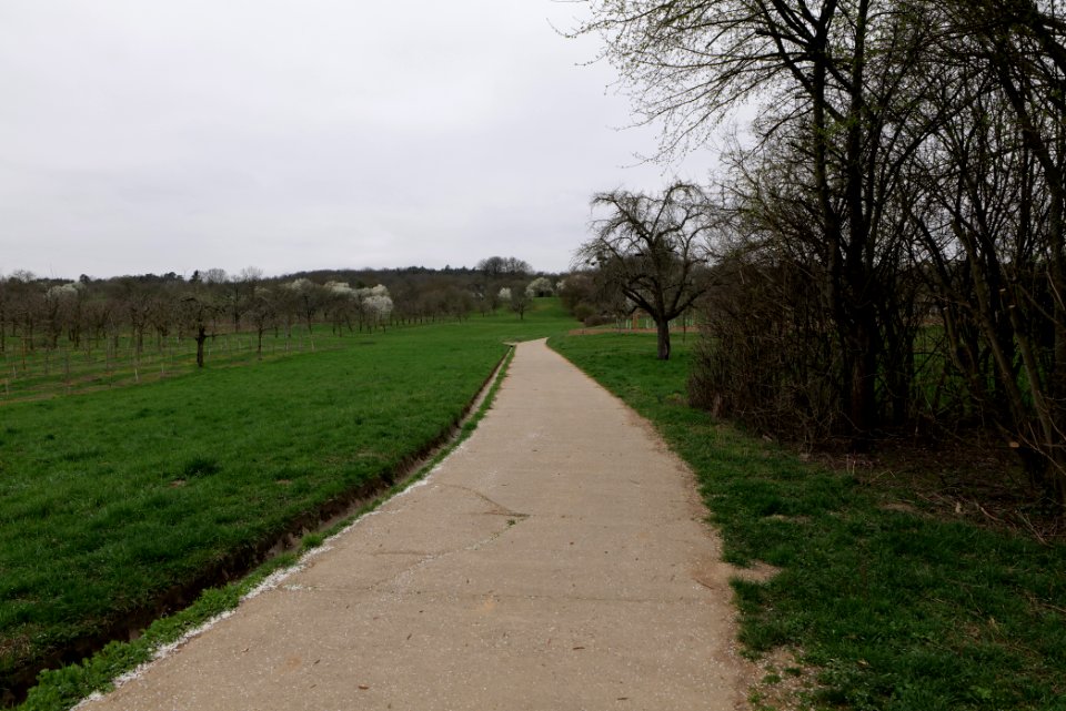 Track in Ockstadt 2021-04-02 02