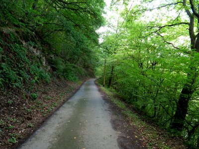 Track in the Rurtal 01