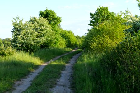 Track in Temmen-Ringenwalde 2021-05-29 02
