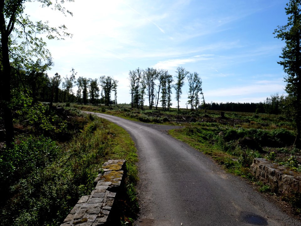 Track in the Osthertogenwald 23