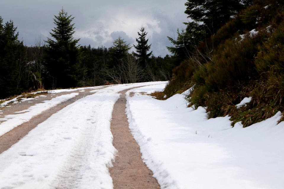 Track Unterstmatt to Ochsenstall 2020-03-14 11
