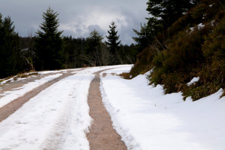 Track Unterstmatt to Ochsenstall 2020-03-14 11