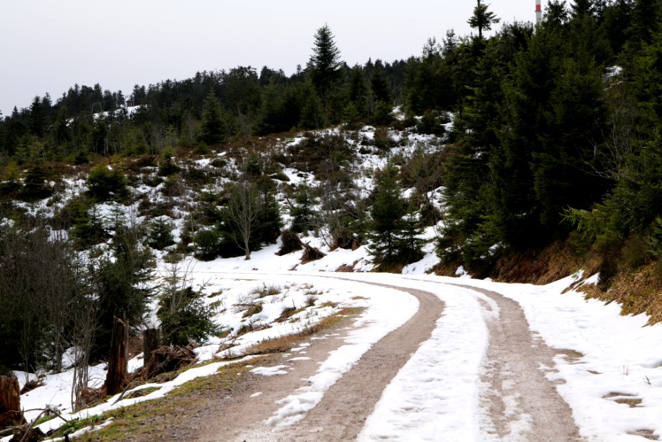Track Unterstmatt to Ochsenstall 2020-03-14 07