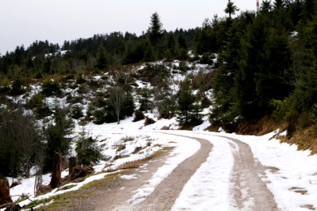 Track Unterstmatt to Ochsenstall 2020-03-14 07