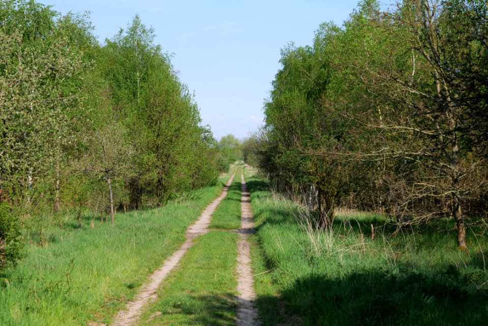 Track in Ragow 2021-05-11 03