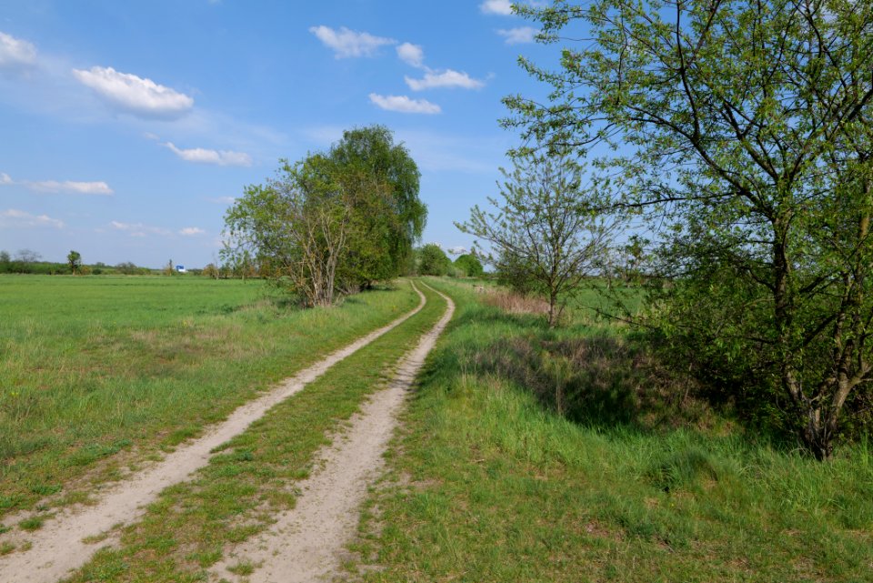 Track in Ragow 2021-05-11 01