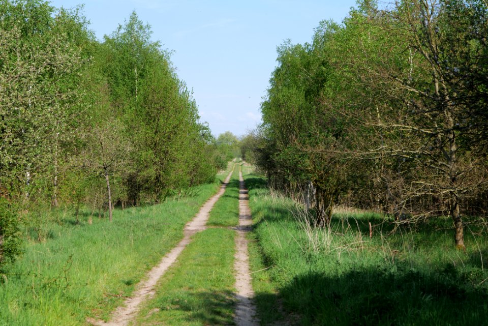 Track in Ragow 2021-05-11 04
