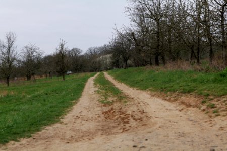 Track in Ockstadt 2021-04-02 05