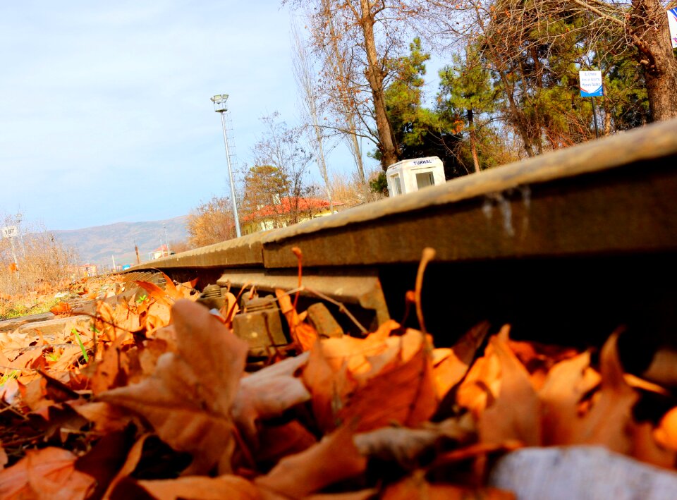 Rails green autumn