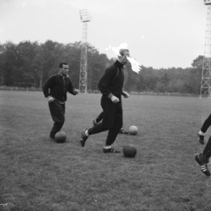 Training Nederlands elftal te Zeist, links Bosselaar, rec Henk Groot, Bestanddeelnr 914-4394