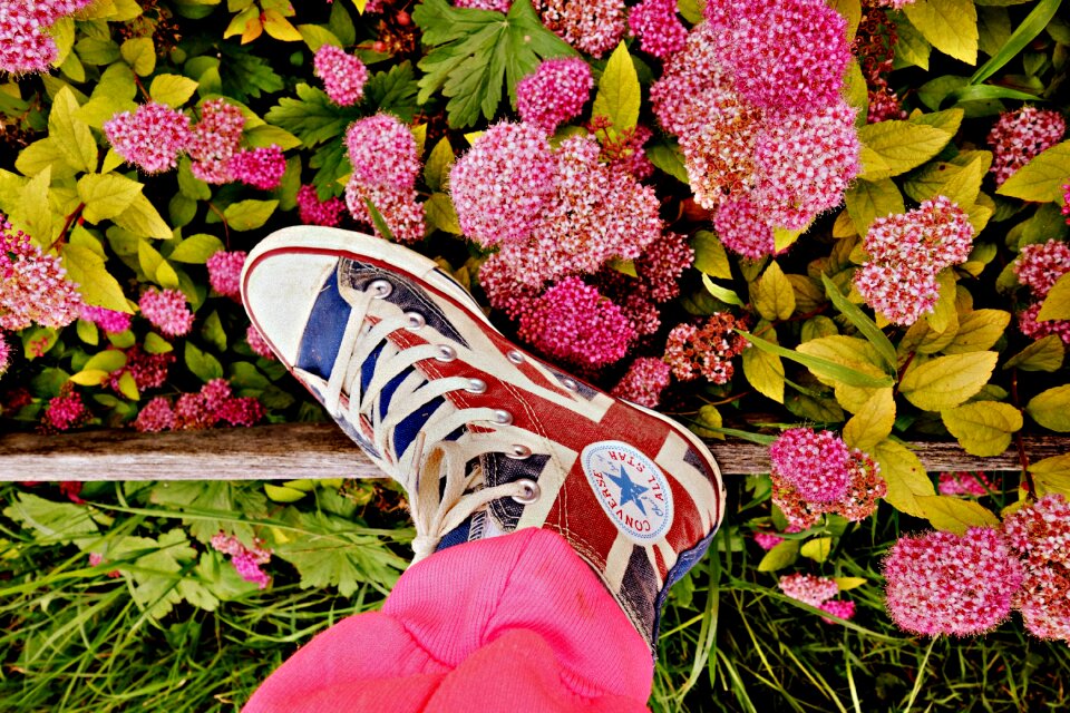 Sneaker body body part