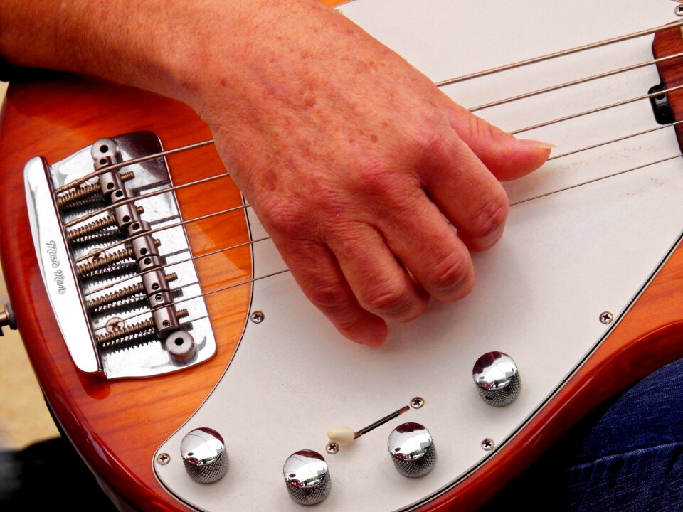 Musician musical instrument entertainment