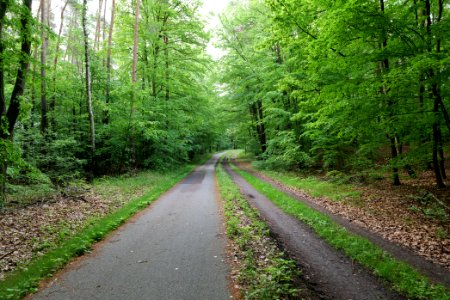 Track from Fürstenberg to Himmelpfort 2021-05-29 21