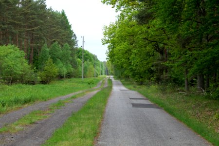 Track from Fürstenberg to Himmelpfort 2021-05-29 15