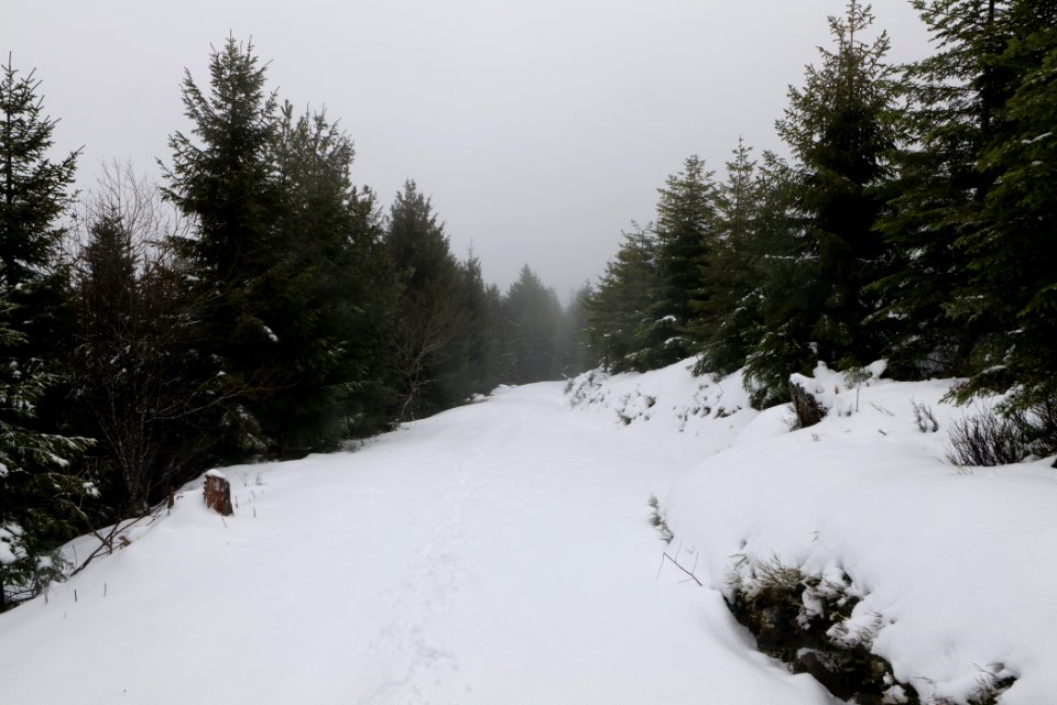 Track from Herrenwieser Sattel to Badener Höhe with snow 2020-03-10 15