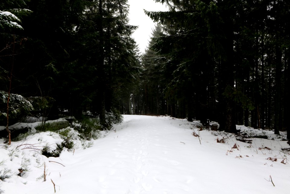 Track from Herrenwieser Sattel to Badener Höhe with snow 2020-03-10 05