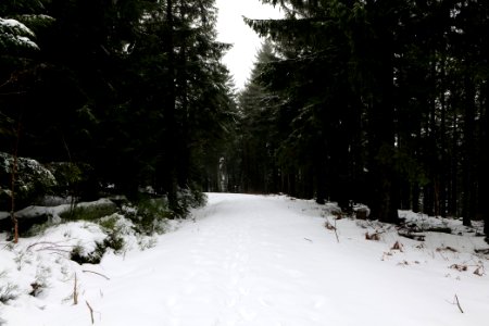Track from Herrenwieser Sattel to Badener Höhe with snow 2020-03-10 05