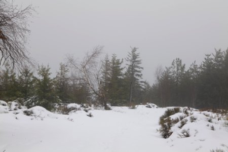 Track from Herrenwieser Sattel to Badener Höhe with snow 2020-03-10 20