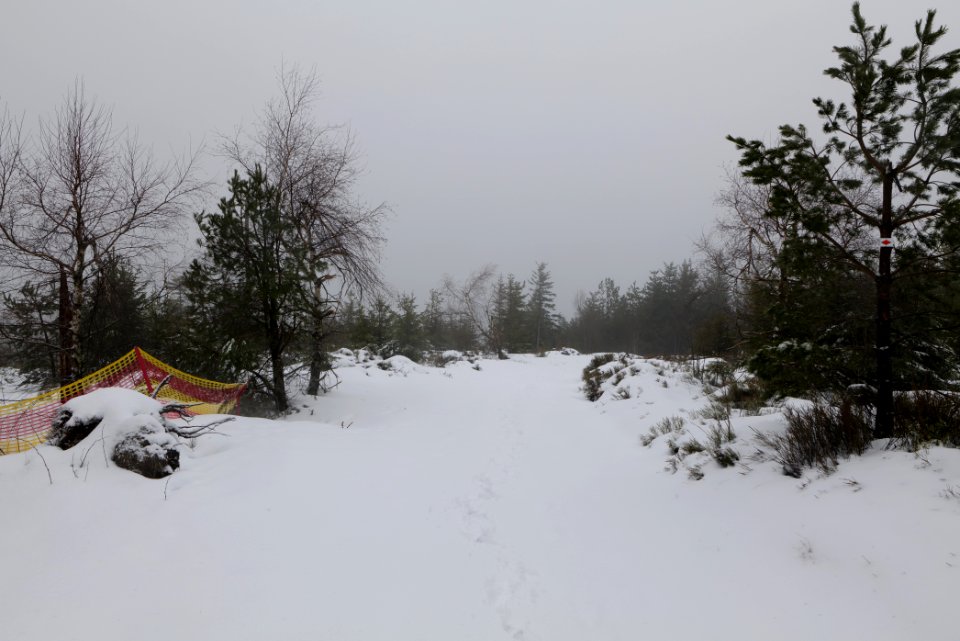 Track from Herrenwieser Sattel to Badener Höhe with snow 2020-03-10 19