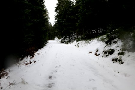 Track from Herrenwieser Sattel to Badener Höhe with snow 2020-03-10 02