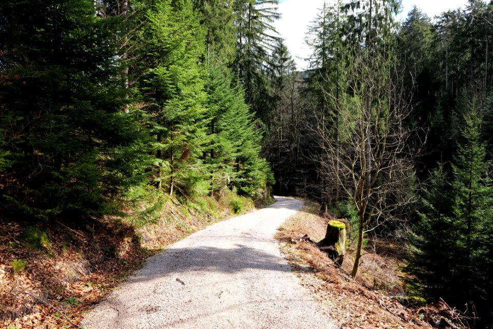 Track from Mittelfeldhütte to Grimbachhütte 2020-03-13 06