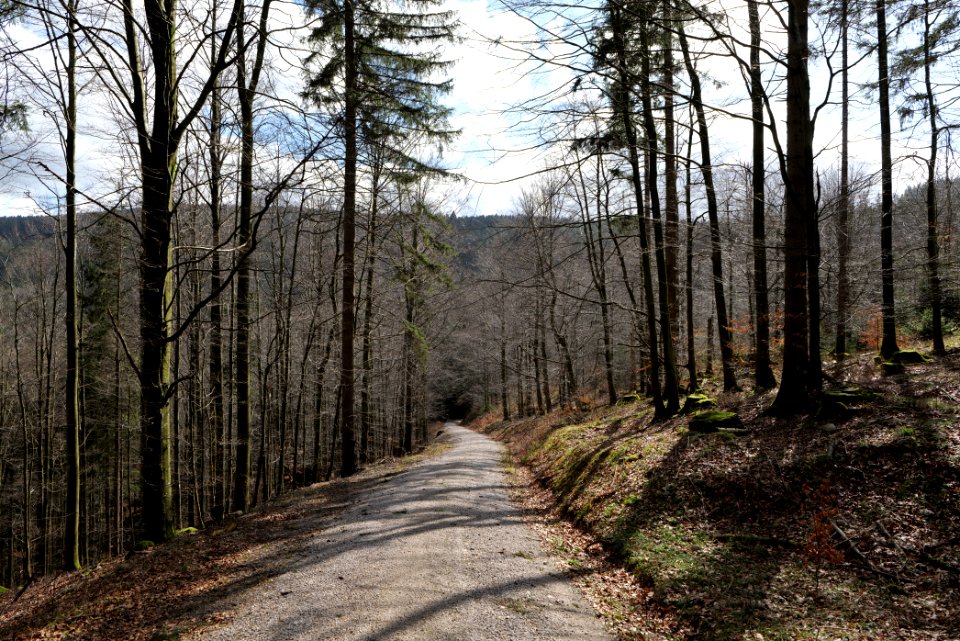 Track from Mittelfeldhütte to Grimbachhütte 2020-03-13 01
