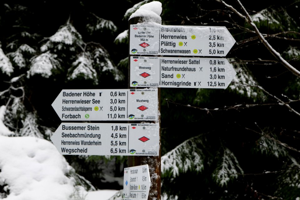 Track from Herrenwieser Sattel to Badener Höhe with snow 2020-03-10 04