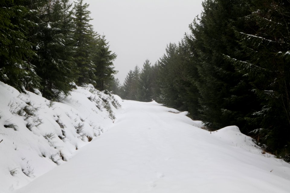 Track from Herrenwieser Sattel to Badener Höhe with snow 2020-03-10 14