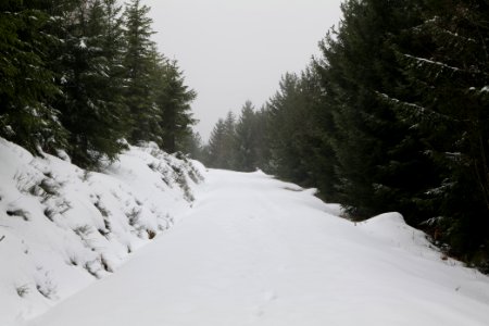 Track from Herrenwieser Sattel to Badener Höhe with snow 2020-03-10 14