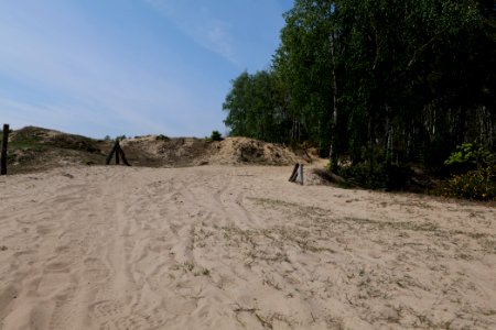 Track in Döberitzer Heide 2020-05-08 04