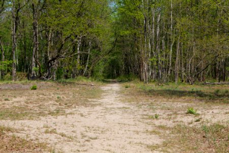 Track in Döberitzer Heide 2020-05-08 08