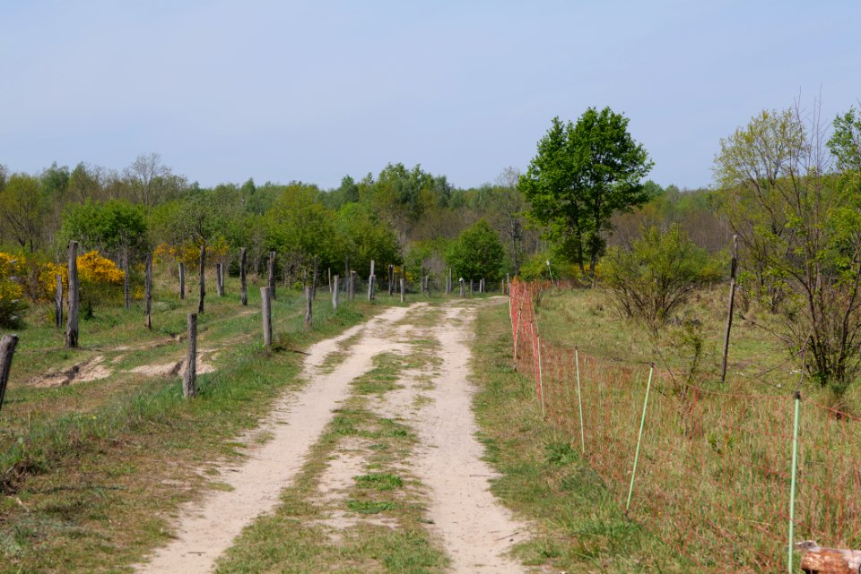 Track in Döberitzer Heide 2020-05-08 03