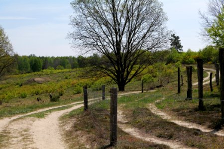 Track in Döberitzer Heide 2020-05-08 01