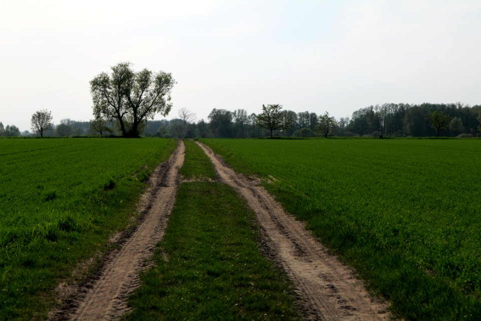 Track in Brusendorf 2021-05-11 08