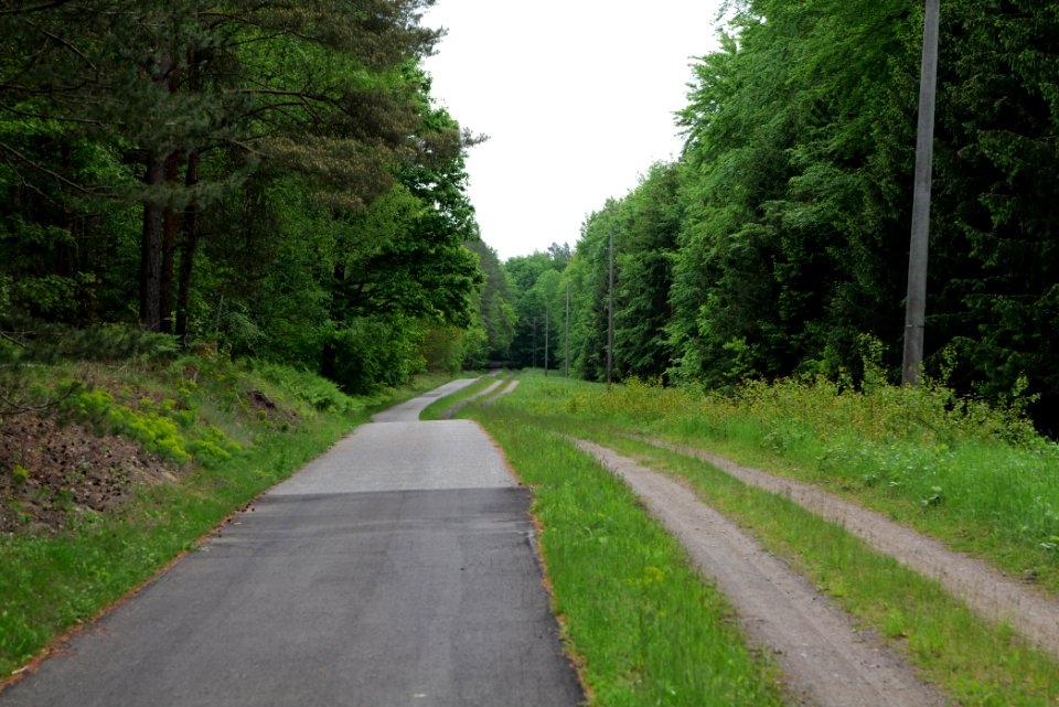 Track from Fürstenberg to Himmelpfort 2021-05-29 19