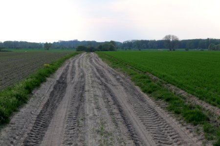 Track in Brusendorf 2021-05-11 06