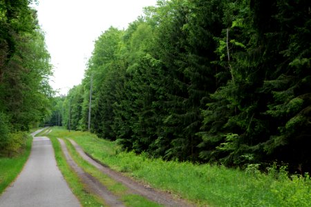 Track from Fürstenberg to Himmelpfort 2021-05-29 18
