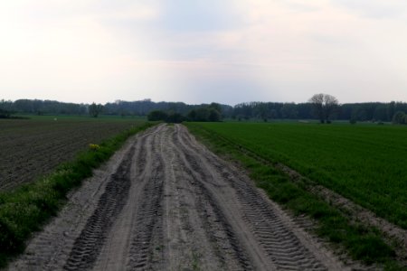 Track in Brusendorf 2021-05-11 03