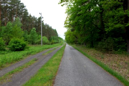 Track from Fürstenberg to Himmelpfort 2021-05-29 16