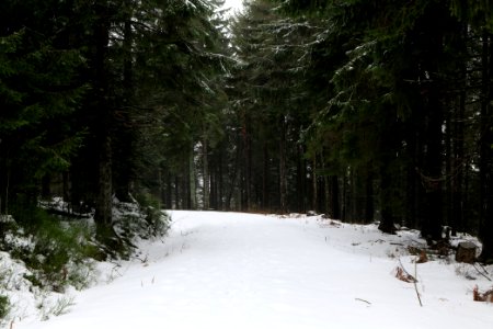 Track from Herrenwieser Sattel to Badener Höhe with snow 2020-03-10 06