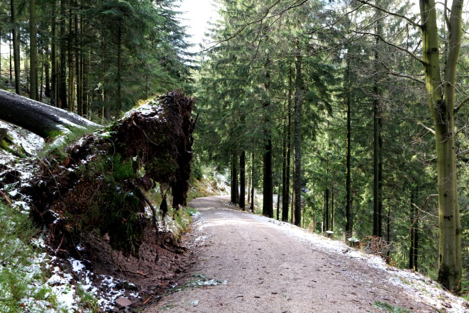 Track from Herrrenwieser Sattel to Mittelfeldhütte 2020-03-13 01