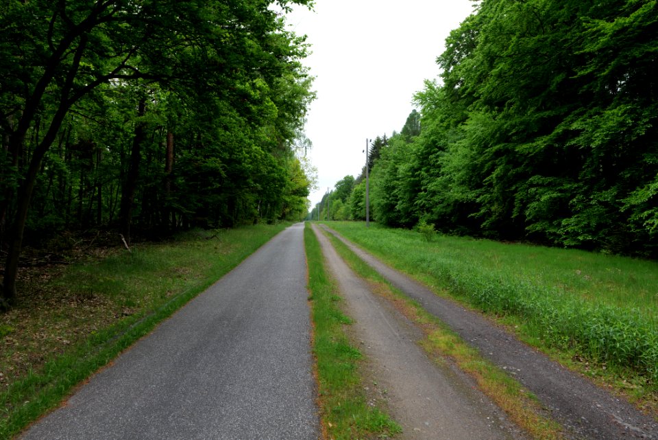 Track from Fürstenberg to Himmelpfort 2021-05-29 13
