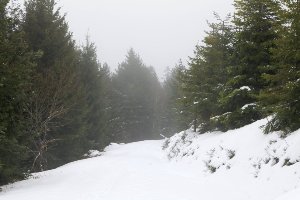 Track from Herrenwieser Sattel to Badener Höhe with snow 2020-03-10 18
