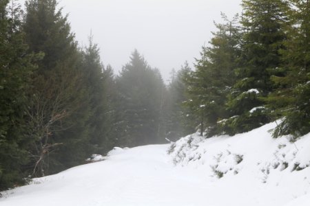 Track from Herrenwieser Sattel to Badener Höhe with snow 2020-03-10 18