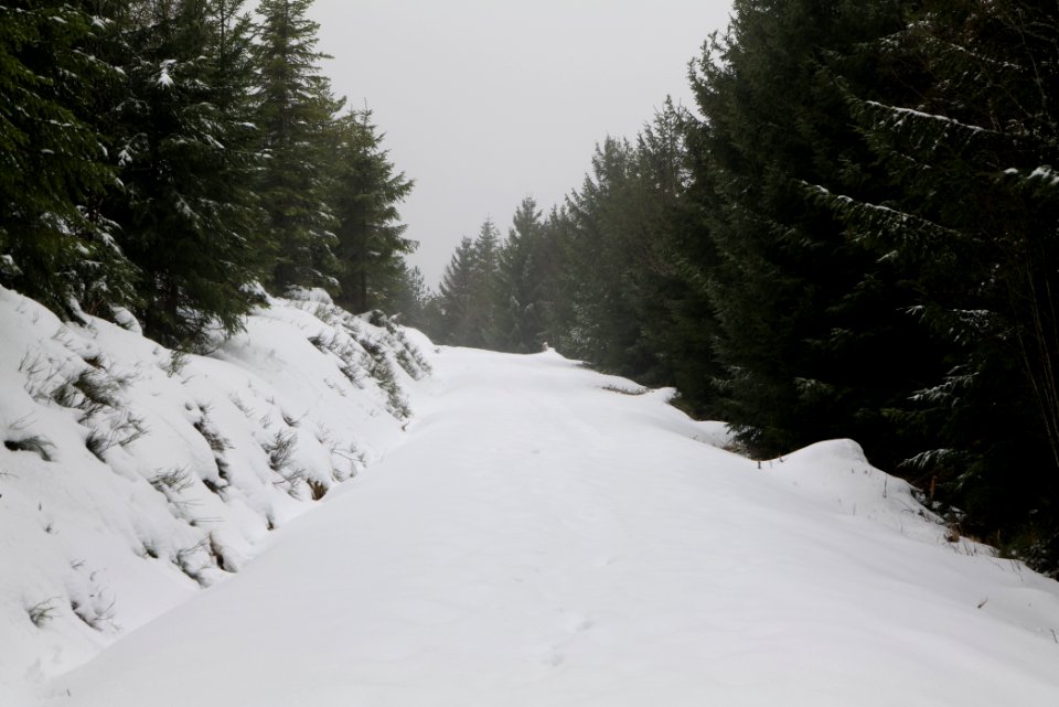 Track from Herrenwieser Sattel to Badener Höhe with snow 2020-03-10 12