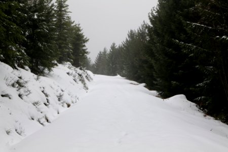 Track from Herrenwieser Sattel to Badener Höhe with snow 2020-03-10 12