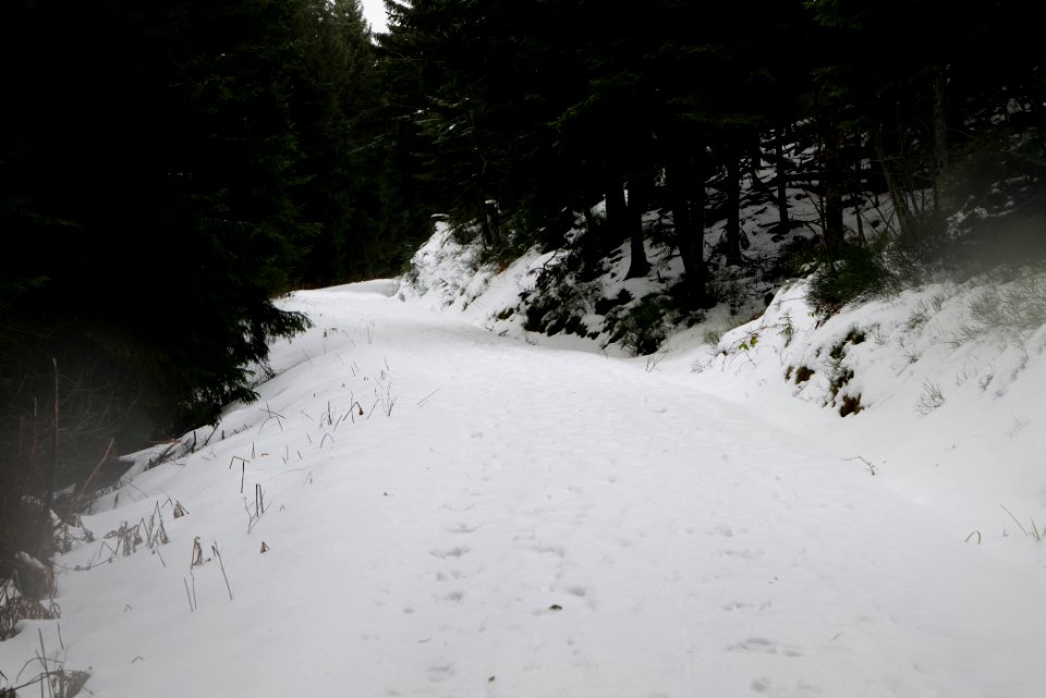 Track from Herrenwieser Sattel to Badener Höhe with snow 2020-03-10 01