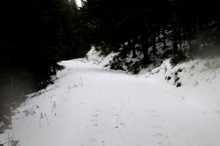 Track from Herrenwieser Sattel to Badener Höhe with snow 2020-03-10 01